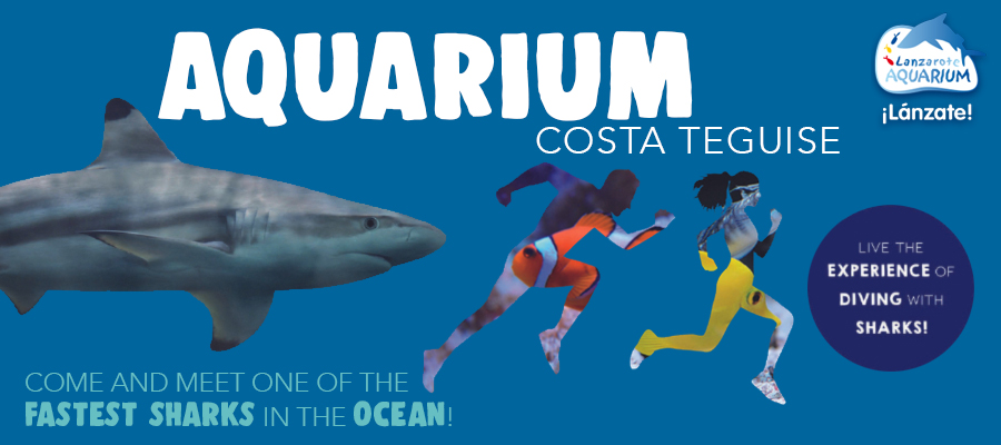 Aquarium - Costa Teguise